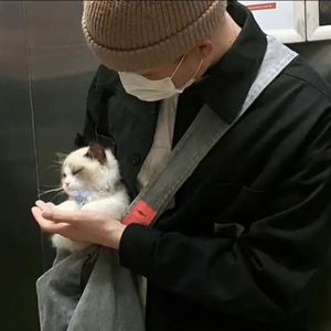 亚洲黄色三级全部网站
